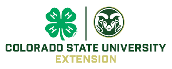 4-H logo